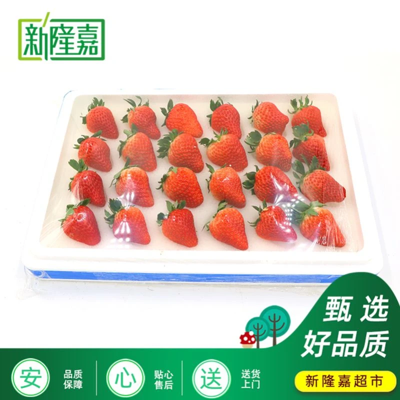 精品九九草莓泡沫盒装，去皮净重1.5-2斤