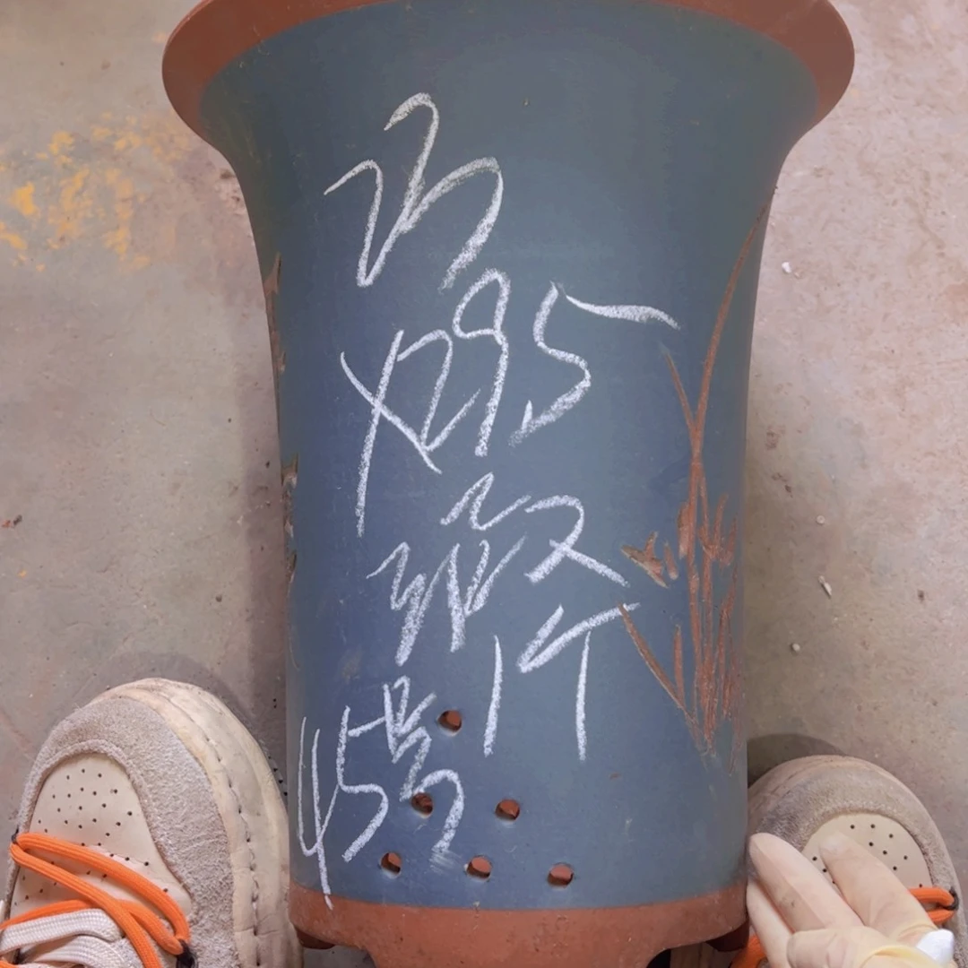 紫砂45……………………………………