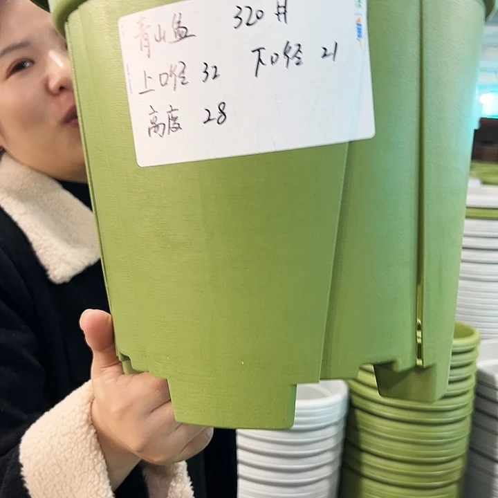 正品青山口32高28果绿无托5只