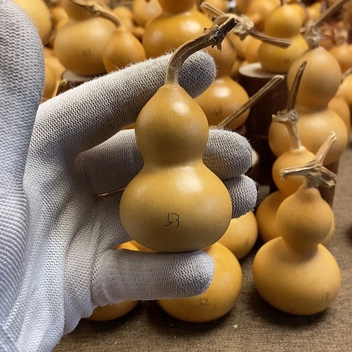 文玩葫芦 完美主义者 慎拍53
