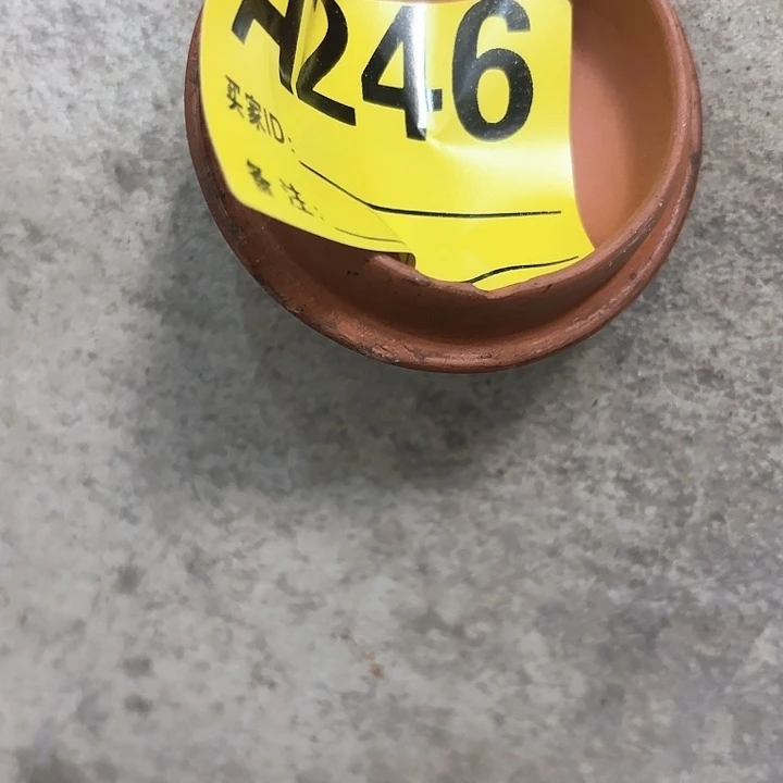 杂色豆（科檀/科特迪瓦檀木）潮****】