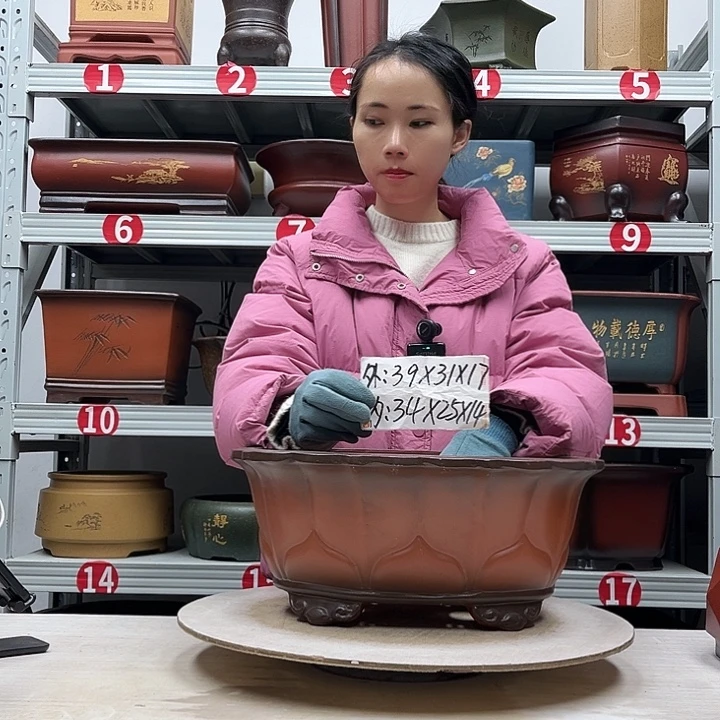 紫砂花盆紫砂花盆