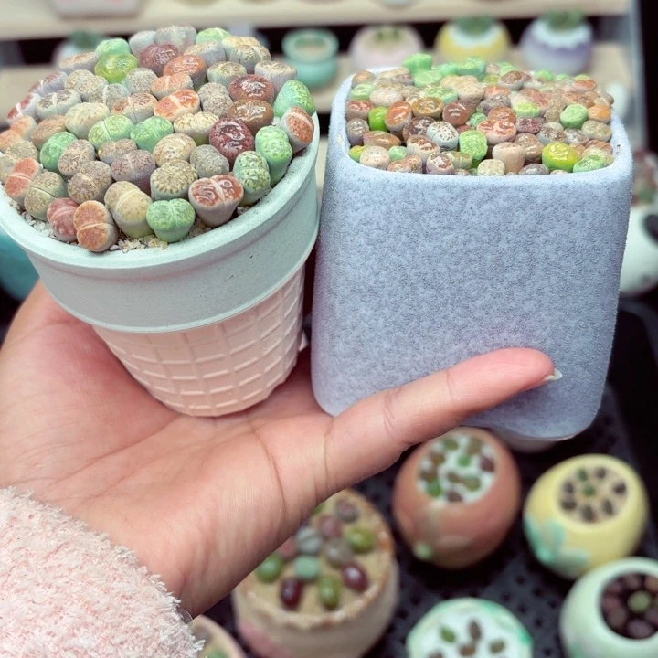 8012零下地区记得拍保温箱