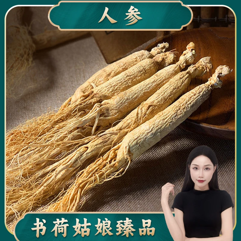 书荷姑娘长白山人参整支 白参籽参生晒干参煲汤泡酒老山参人叁