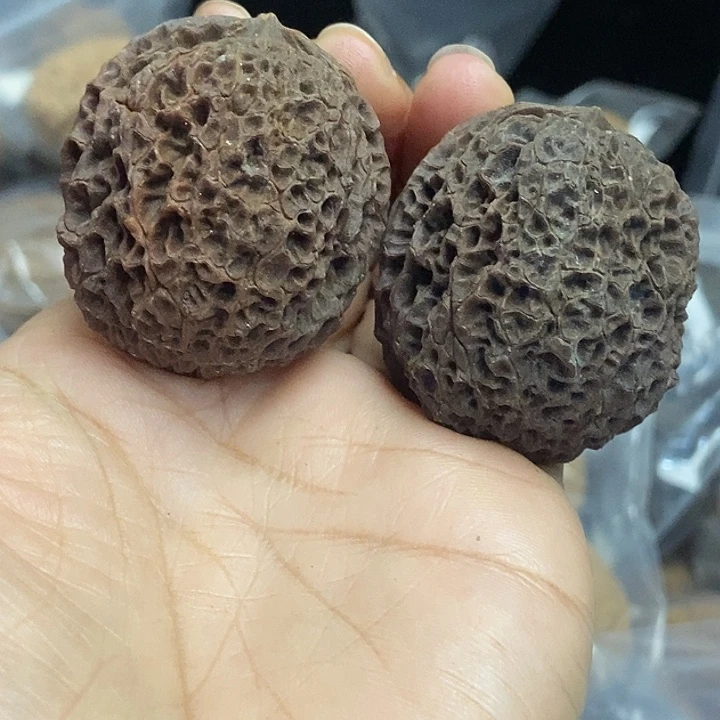 木质类云南铁核桃+52