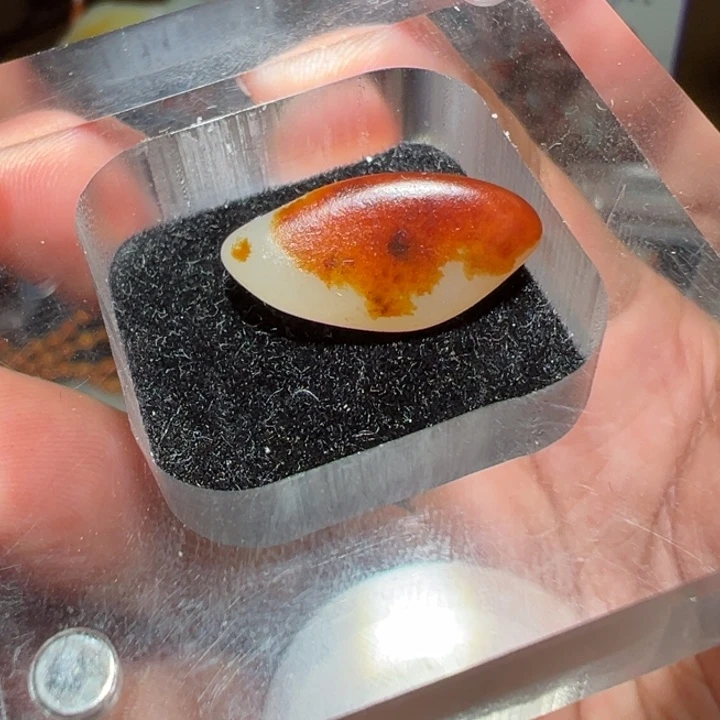 【闪购商品】和田玉未镶嵌颈饰