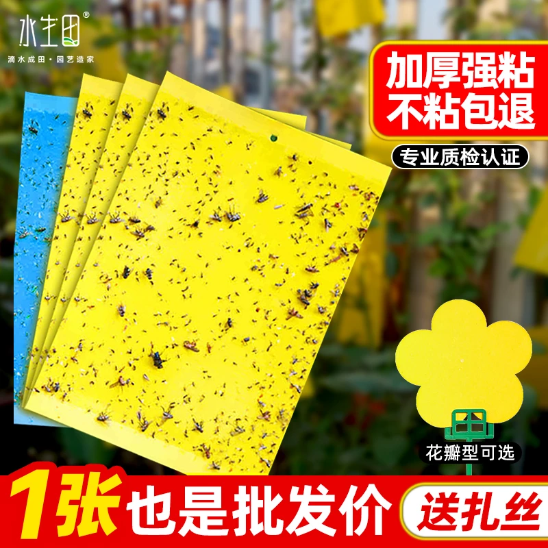 黄板双面粘虫板诱虫蓝板纸贴黄色灭小飞虫粘板果园蓟马大棚园艺