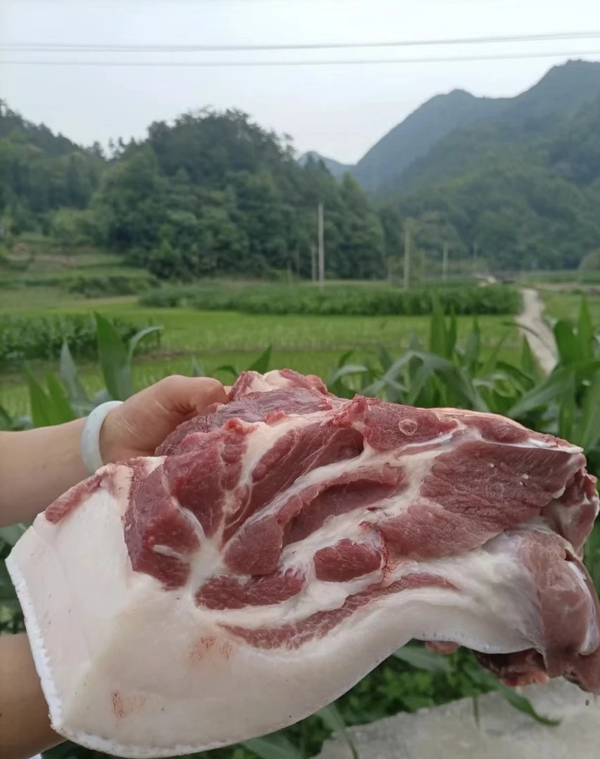 发顺丰   顺丰包邮  大山土猪肉