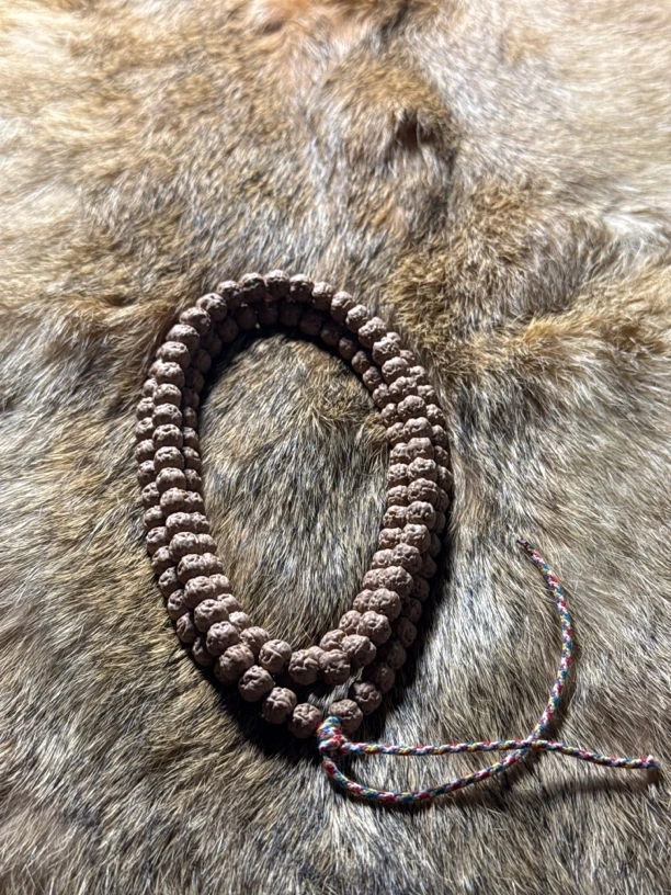 〖五爪金龙〗佛手小金刚108长串