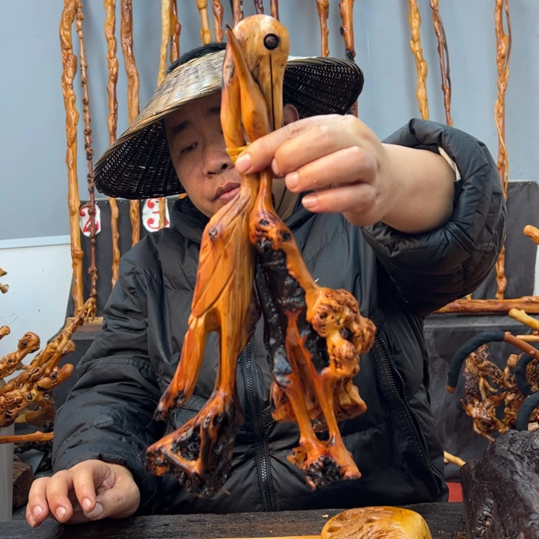 黑果木其他舍**得黑果木746