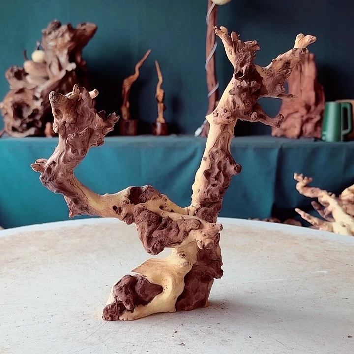 黑果木泡****）524金丝红木羊蹄甲半成品