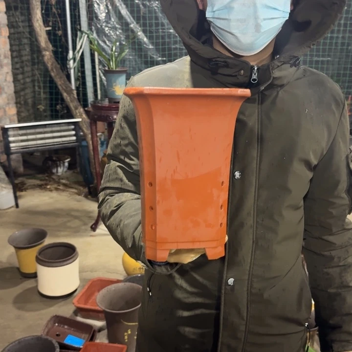 紫砂紫砂花盆11111