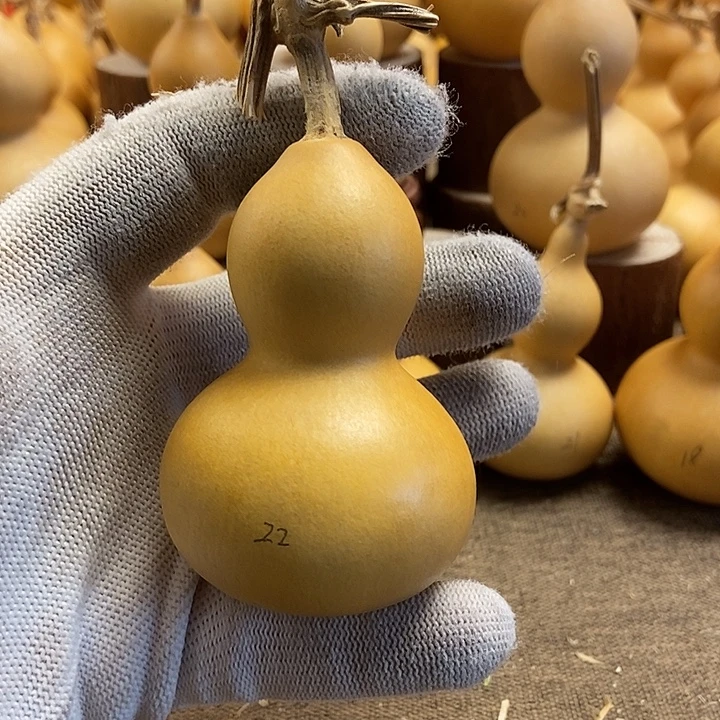 文玩葫芦 完美主义者 慎拍22