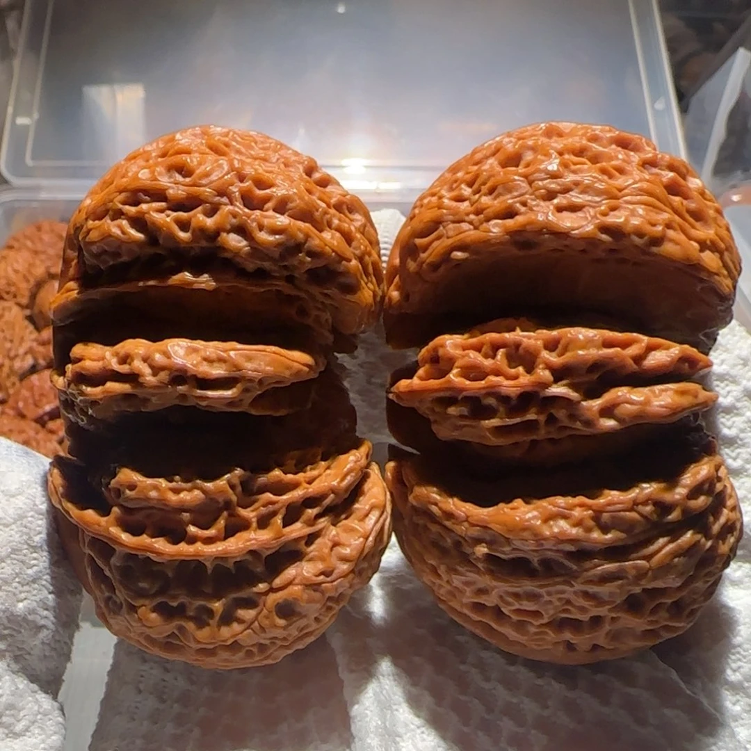 把件文玩核桃连体