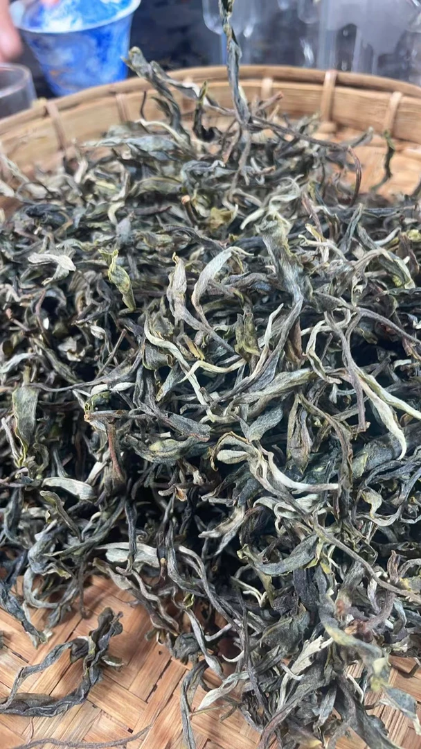 25年天门山高杆单株散茶BT-510