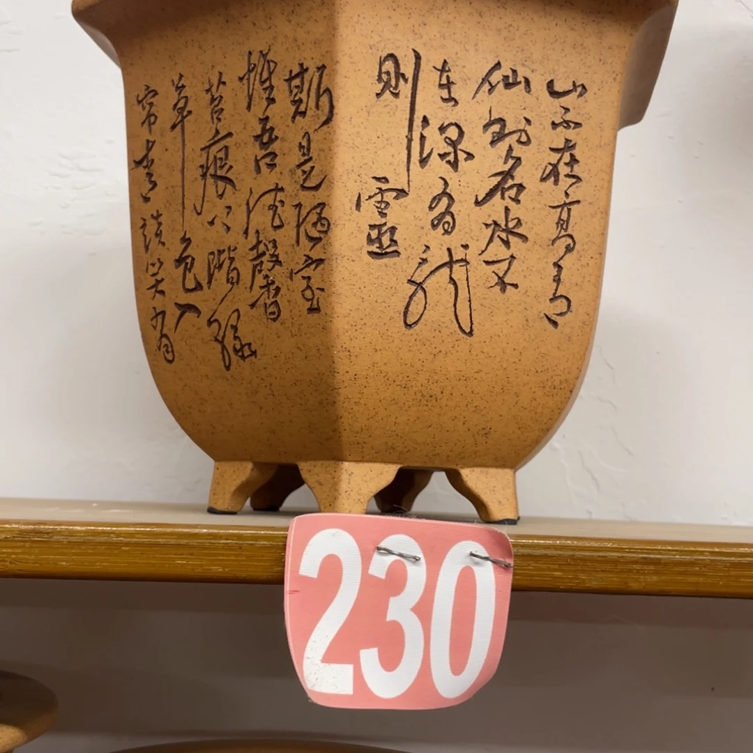 紫砂花盆阿**花盆花盆