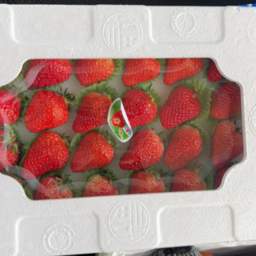 丹东九九草莓 一盒 毛重1.8斤99草莓中国大陆