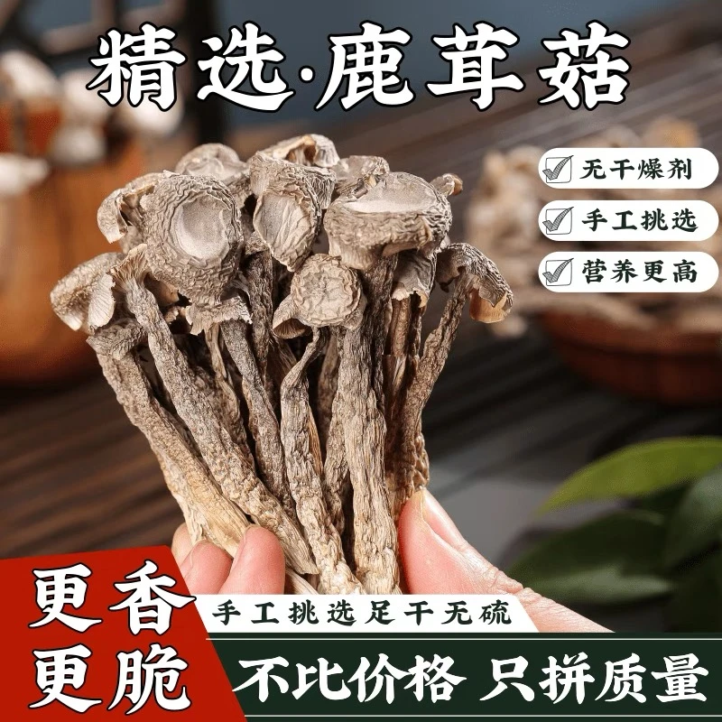 豪媳妇（99高山鹿茸菇）纯干货菇农自然晾晒风干鲜美好吃