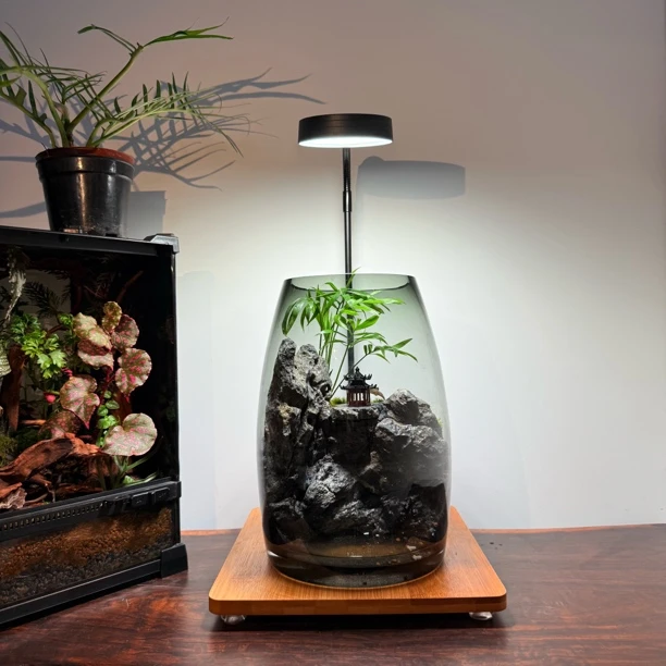 BOTANICOOL植酷【高山流水】苔藓鱼缸室内绿植盆景流溪懒人桌面景观