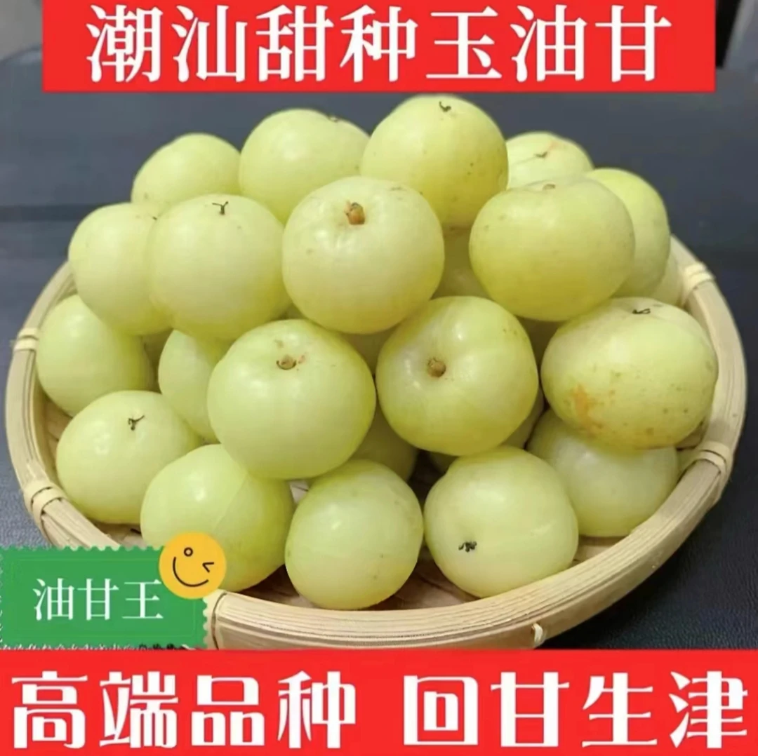 潮汕油甘果新鲜甜种油柑翻花柿饼甜油甘榨汁余甘果回甘孕妇油甘子