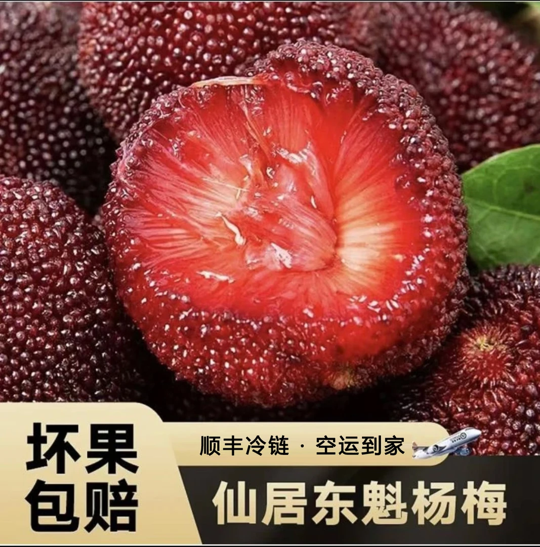 买一送一箱仙居高山东魁杨梅9A大果锁鲜包装新鲜水果产地凌晨现摘