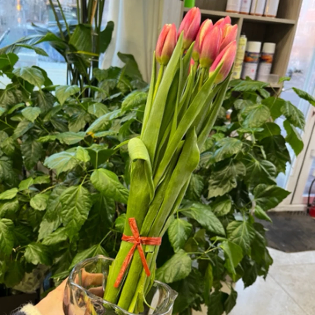 水晶花瓶加一盏三文鱼郁金香