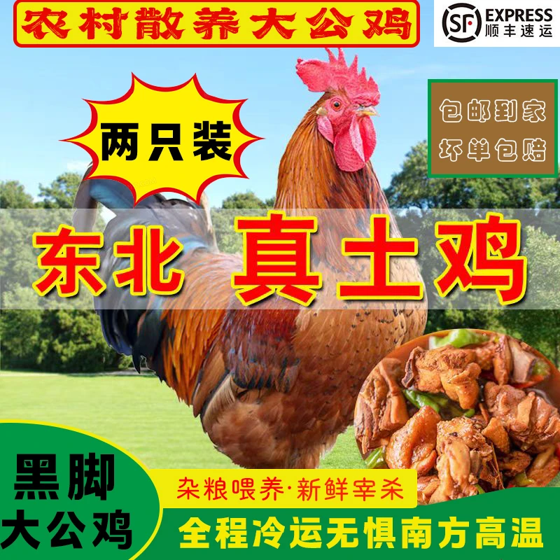 两只黑爪黑凤散养大公鸡加一斤鸡胗共净重10斤半左右顺丰冷运包邮