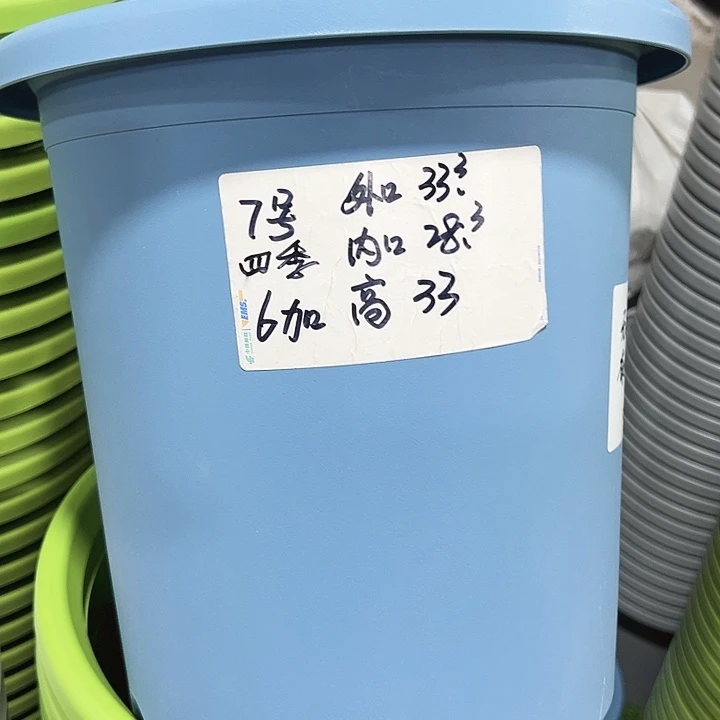 特价7号四季口33高33雾霾蓝无托6只
