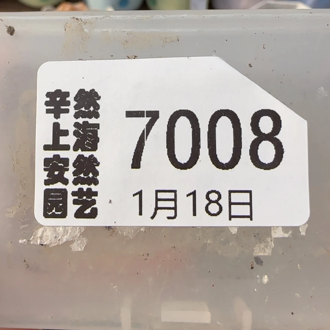 1。18。7008。.6饼干。 专拍