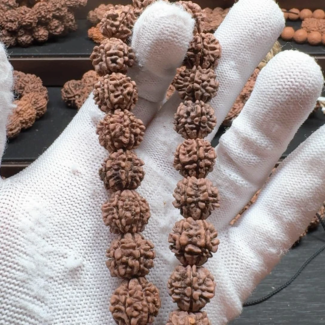 金刚菩提手串小*14大金刚野生籽龙脊六芒星