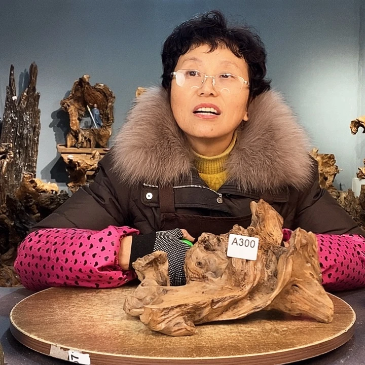 茶盏300株木底座随行根艺