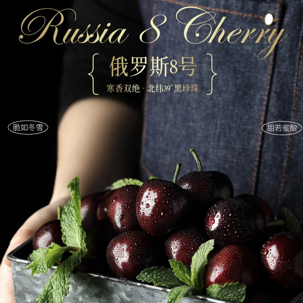 【顺丰包邮】俄罗斯8号大连空运5J大樱桃2斤礼盒装