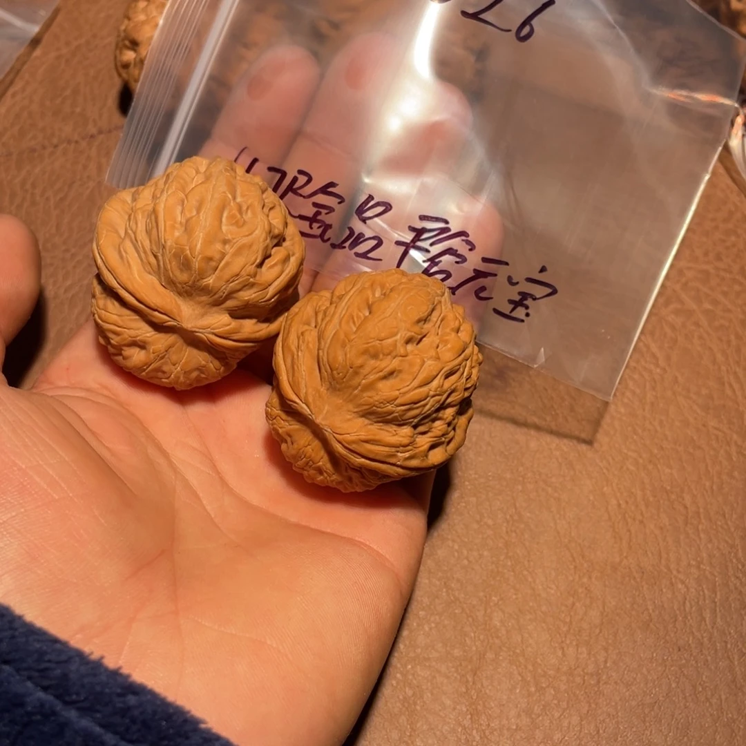 核桃手串/手链026