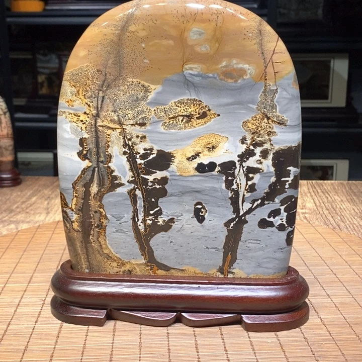 香榧木广西柳州国画石