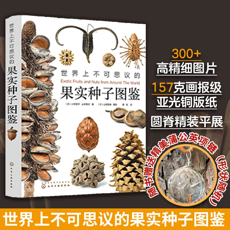 【当当】世界上不可思议的果实种子图鉴一本新颖的果实种子视觉图鉴