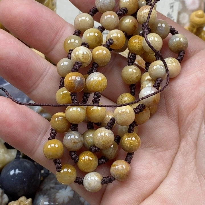 颈饰未镶嵌硅化珊瑚（珊瑚玉）