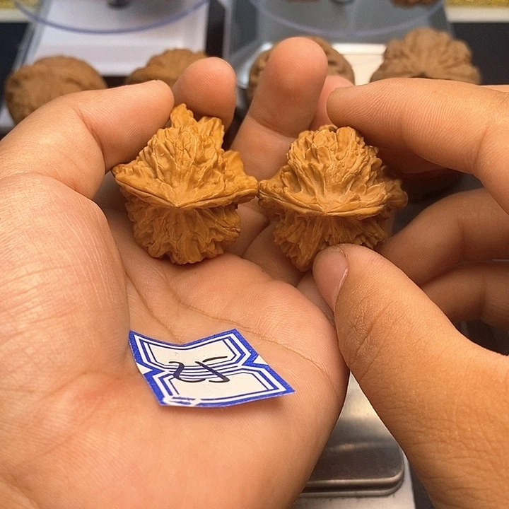 文玩核桃把件小鸟