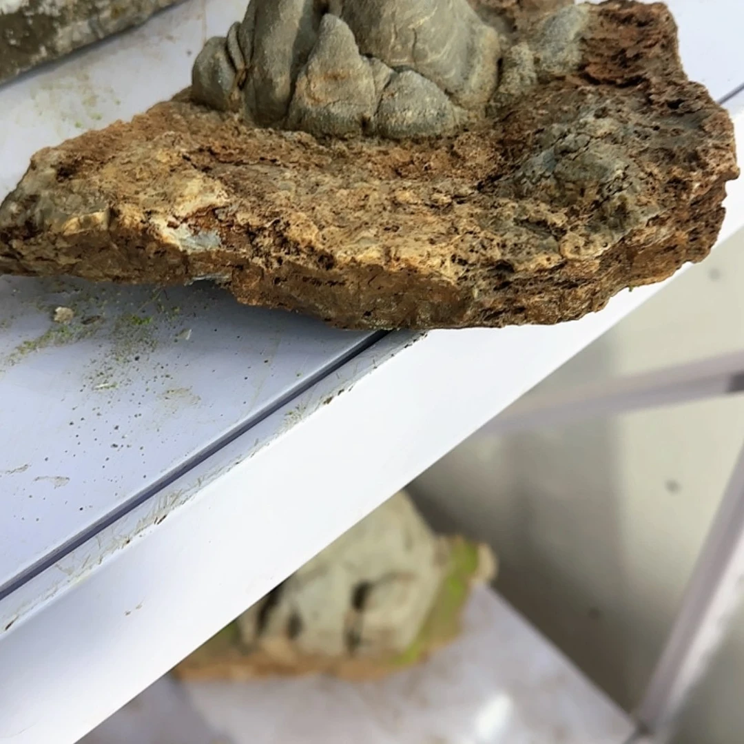 【闪购商品】香榧木S***r出来吃火锅吃什么火锅吃