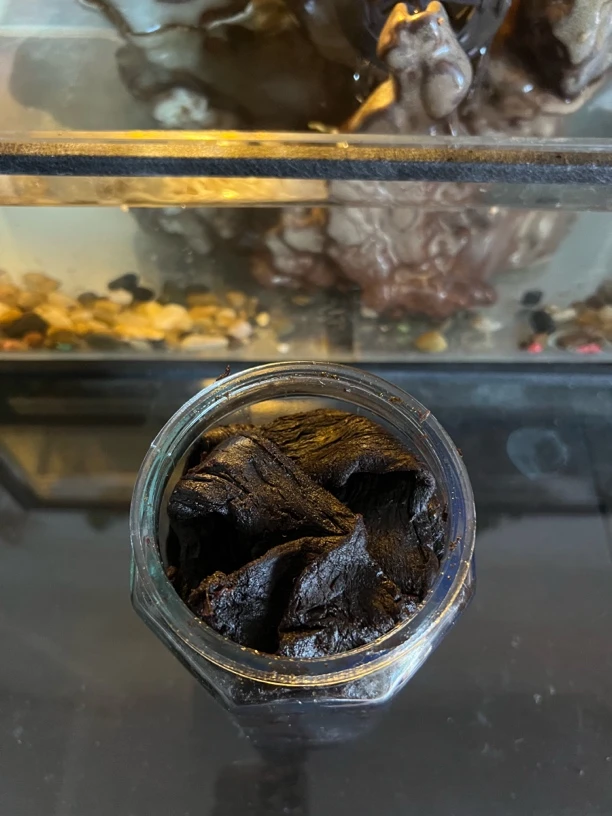 舍得，潮汕陈年老菜脯