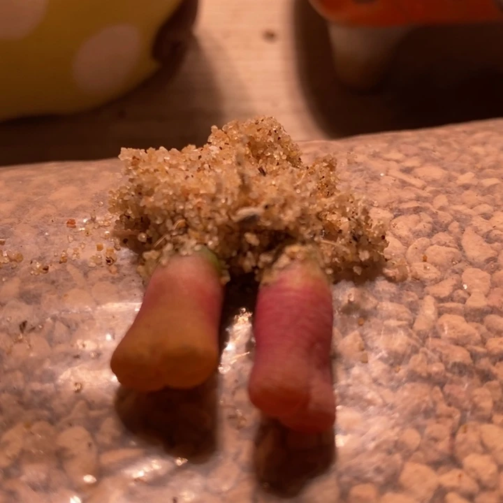 18110一组一组一组