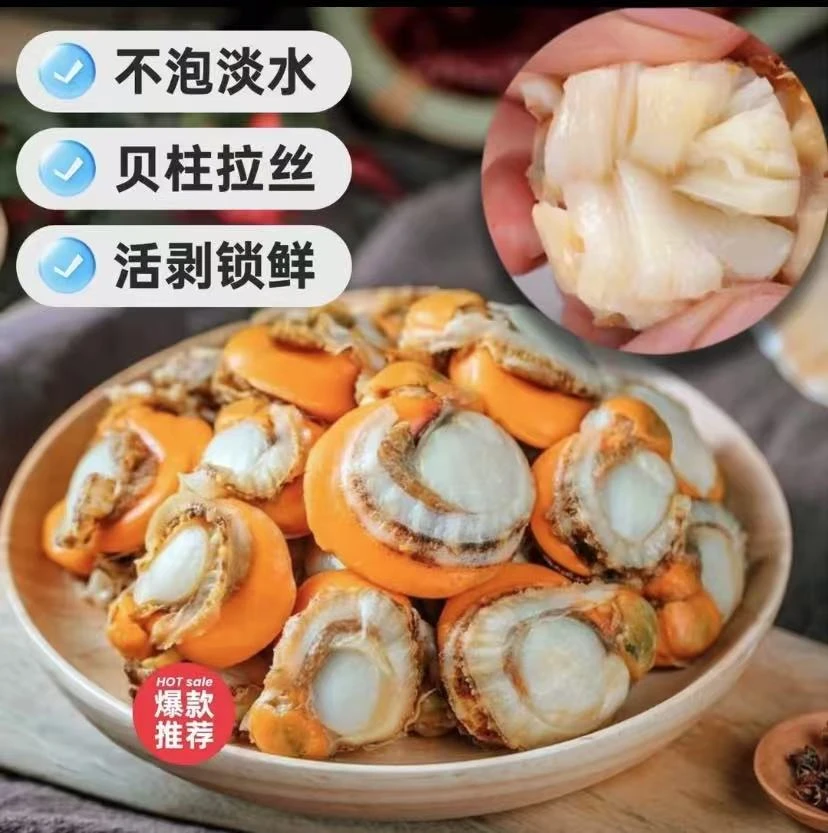 5斤/10斤小号80-100 25年新鲜熟冻无冰扇贝肉 公带膏母带黄 顺丰
