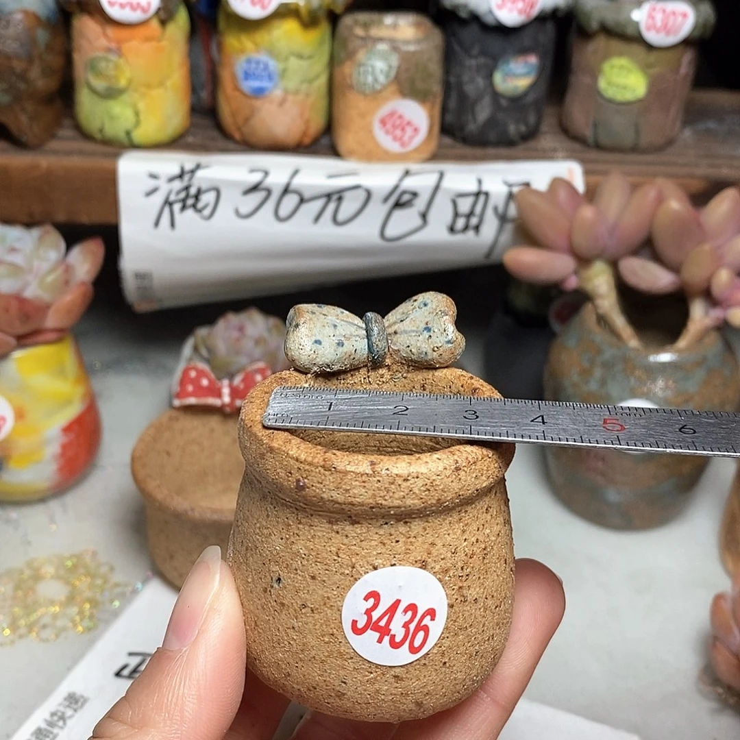 红陶拍5送一个小