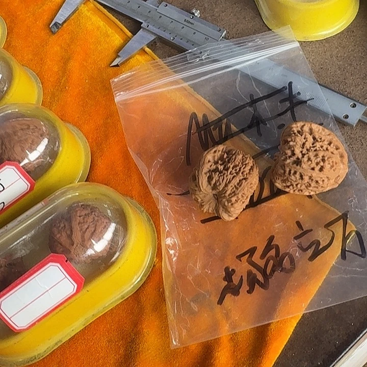 文玩核桃吊坠杨**万啦啦啦啦