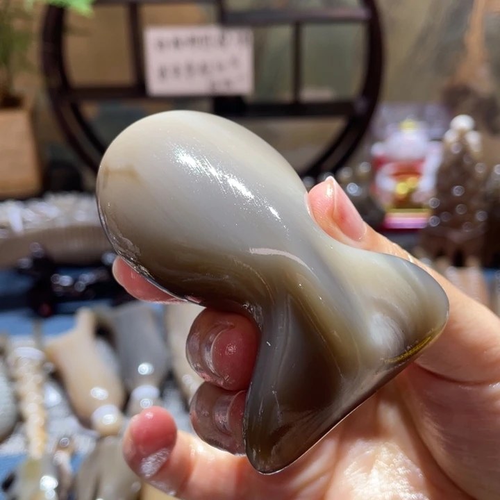 白水牛角整角大鲲