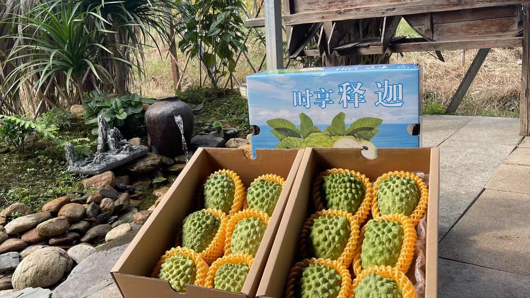 广东凤梨牛奶释迦果园直发5斤京东快递包邮到家/少花皮介意慎拍