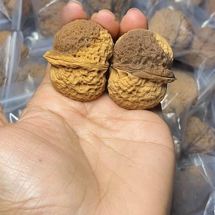 把件文玩核桃云南铁核桃66