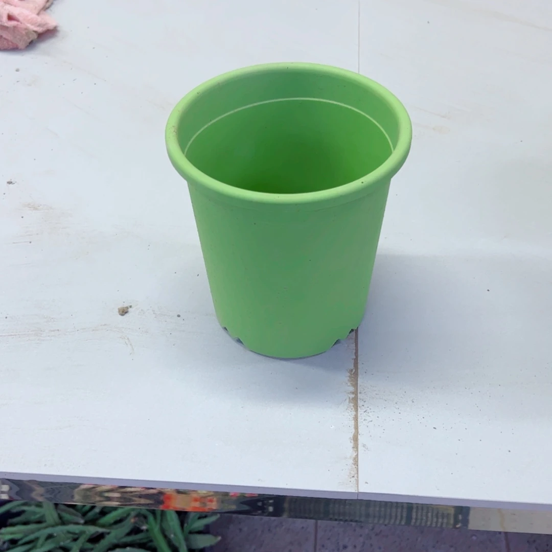 下23小绿盆2个口径15高15左右无托盘20包邮