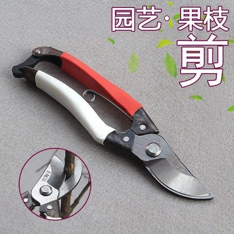 粉丝浮力 修枝剪