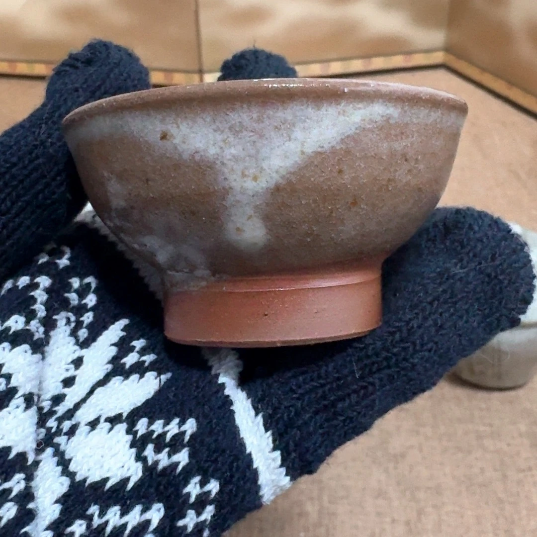 杯子杯子杯子杯子