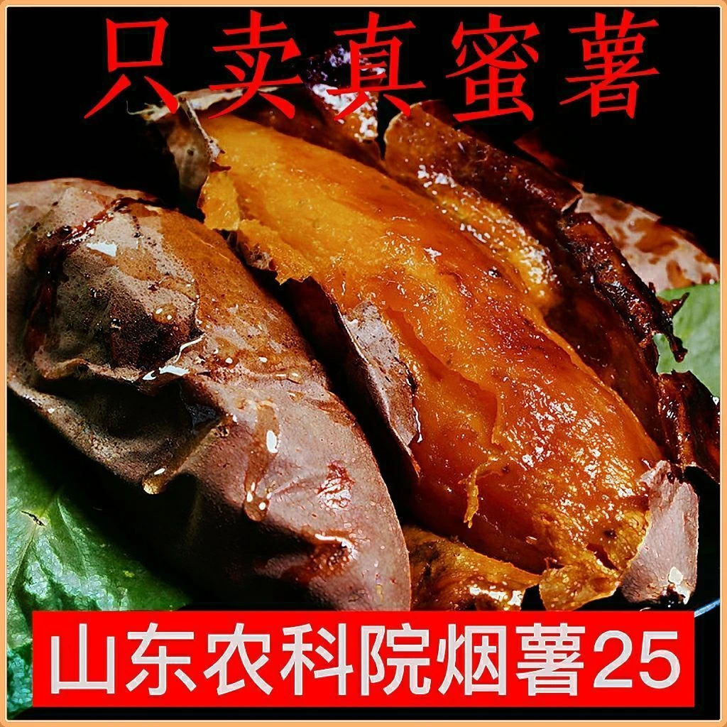 山东烟薯25号农家沙地地瓜番薯烤红薯店专用糖心流蔬菜蜜薯红薯